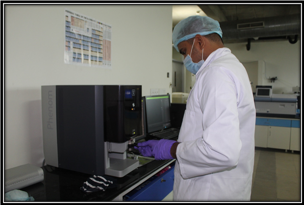 Scanning Electron Microscope (SEM)